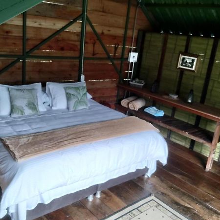 Ecohotel Pinohermoso Reserva Natural Salento Zewnętrze zdjęcie
