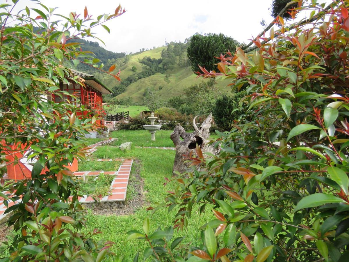 Ecohotel Pinohermoso Reserva Natural Salento Zewnętrze zdjęcie