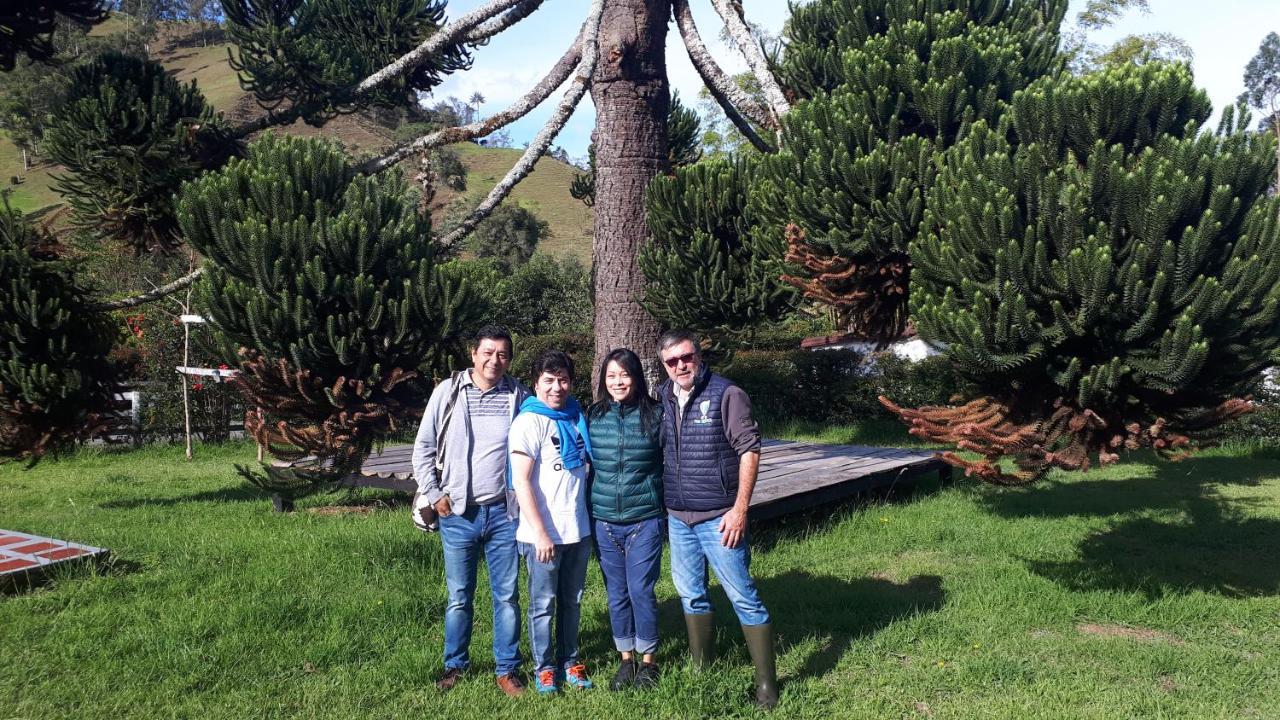Ecohotel Pinohermoso Reserva Natural Salento Zewnętrze zdjęcie