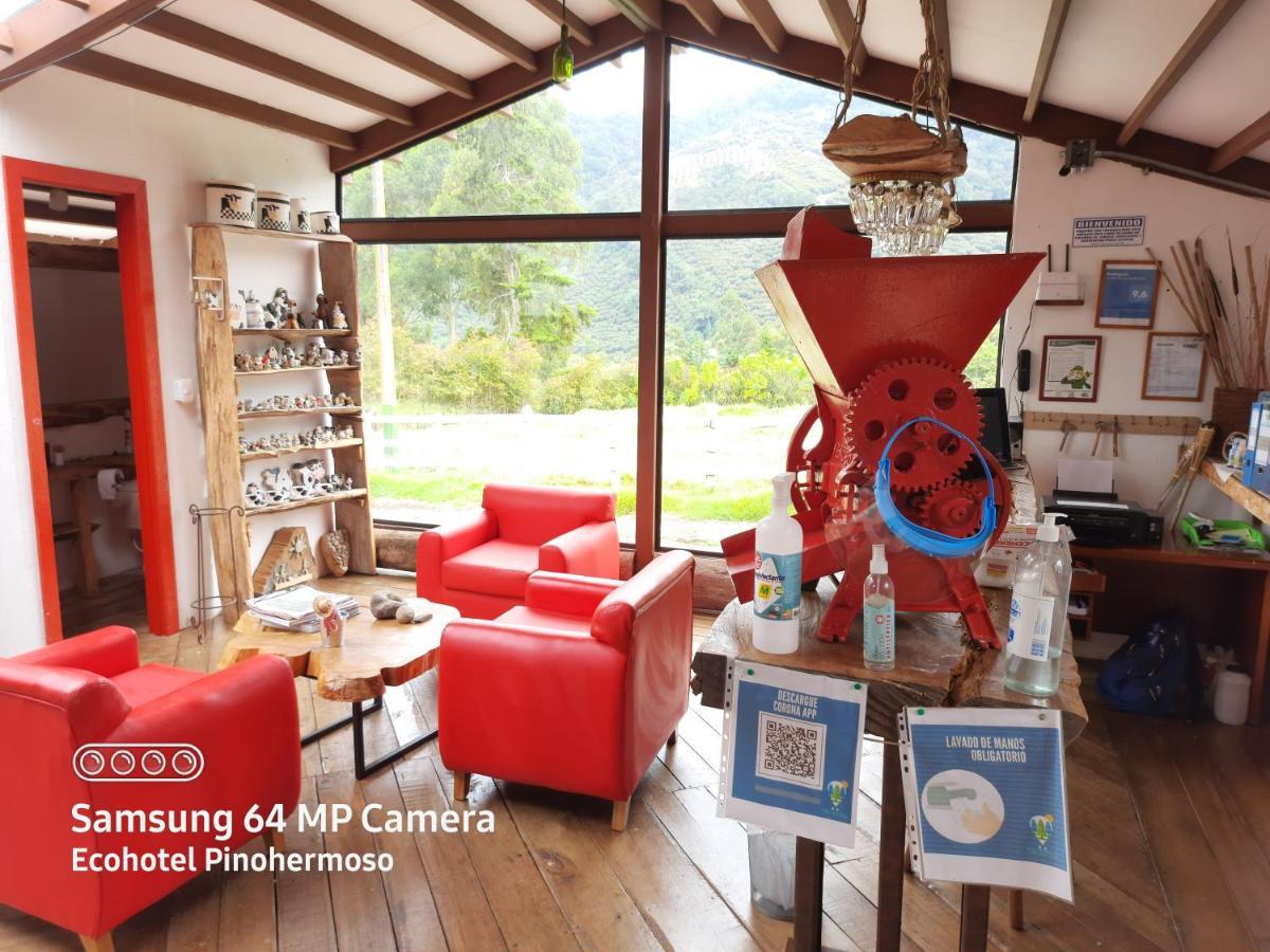 Ecohotel Pinohermoso Reserva Natural Salento Zewnętrze zdjęcie