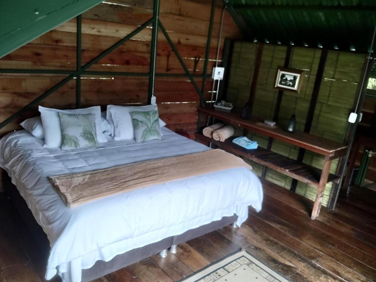 Ecohotel Pinohermoso Reserva Natural Salento Zewnętrze zdjęcie
