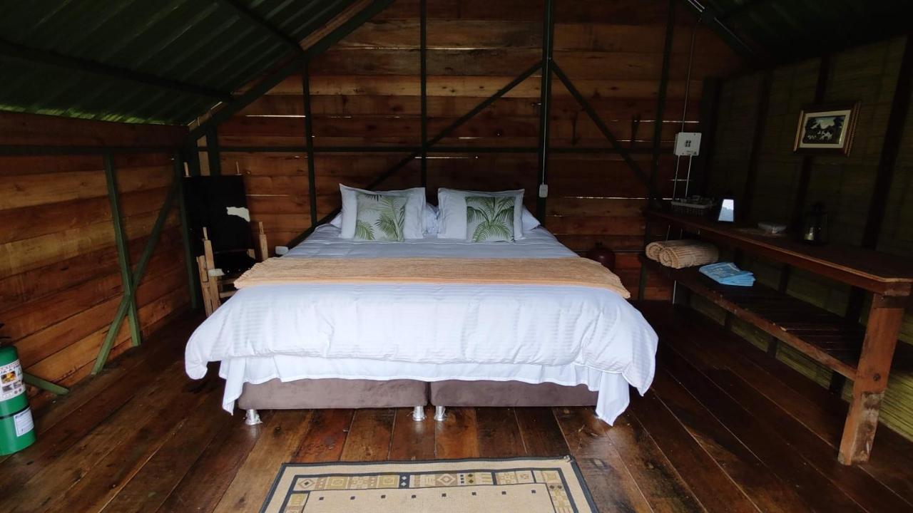 Ecohotel Pinohermoso Reserva Natural Salento Zewnętrze zdjęcie