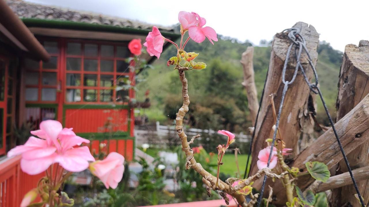 Ecohotel Pinohermoso Reserva Natural Salento Zewnętrze zdjęcie