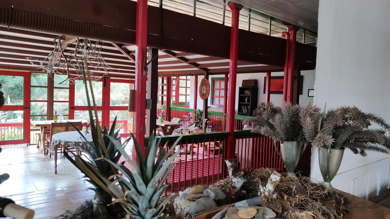 Ecohotel Pinohermoso Reserva Natural Salento Zewnętrze zdjęcie
