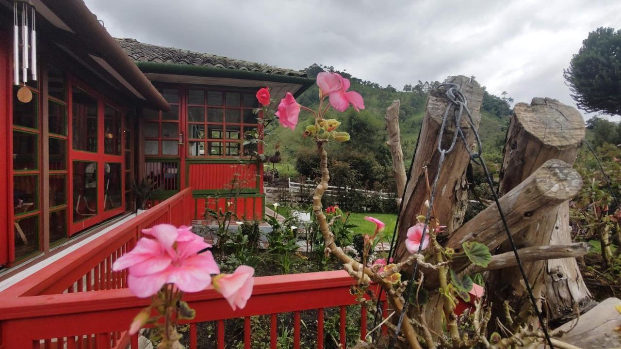 Ecohotel Pinohermoso Reserva Natural Salento Zewnętrze zdjęcie