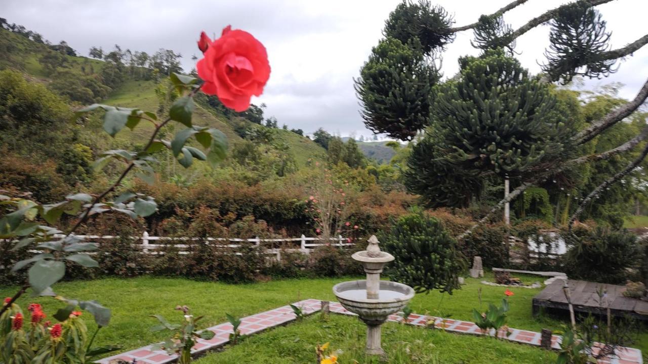 Ecohotel Pinohermoso Reserva Natural Salento Zewnętrze zdjęcie