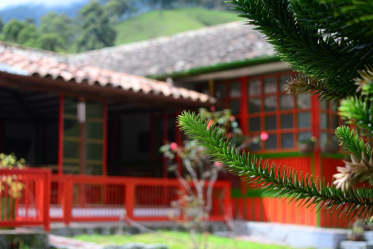 Ecohotel Pinohermoso Reserva Natural Salento Zewnętrze zdjęcie
