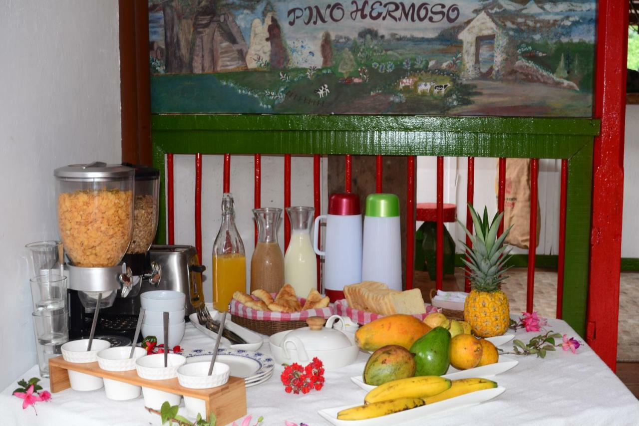 Ecohotel Pinohermoso Reserva Natural Salento Zewnętrze zdjęcie