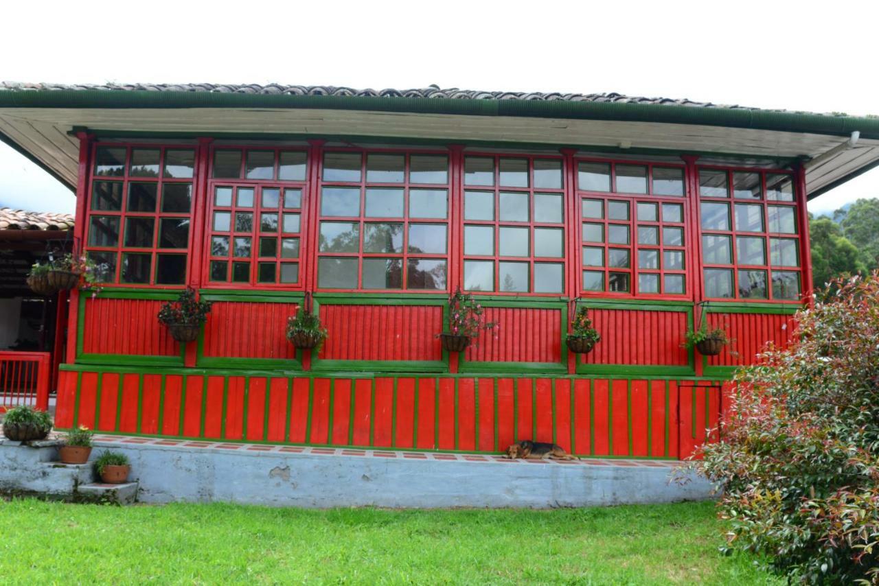 Ecohotel Pinohermoso Reserva Natural Salento Zewnętrze zdjęcie