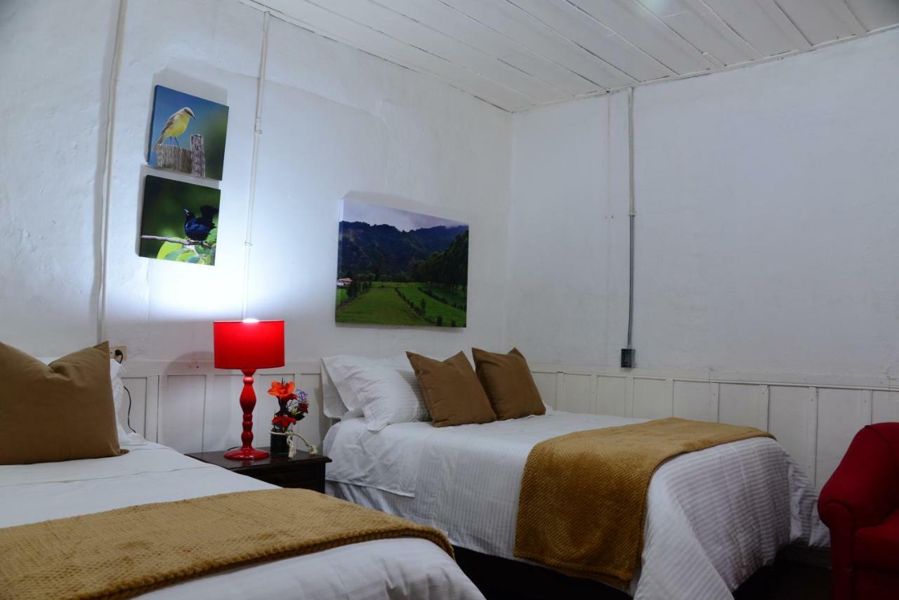 Ecohotel Pinohermoso Reserva Natural Salento Zewnętrze zdjęcie