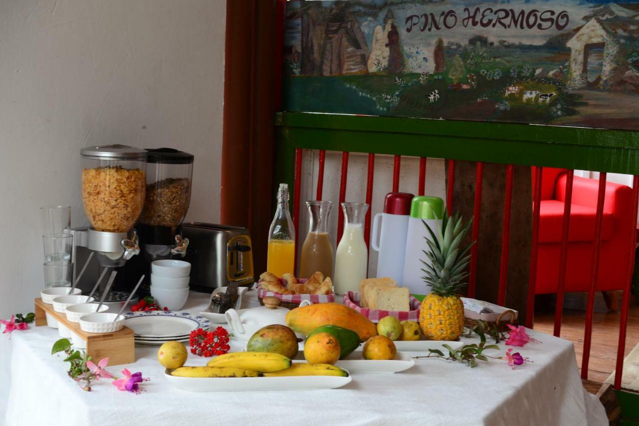Ecohotel Pinohermoso Reserva Natural Salento Zewnętrze zdjęcie