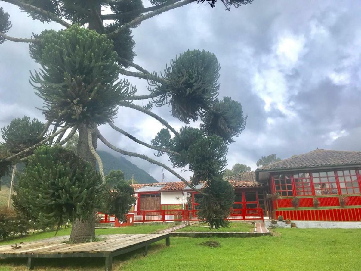 Ecohotel Pinohermoso Reserva Natural Salento Zewnętrze zdjęcie