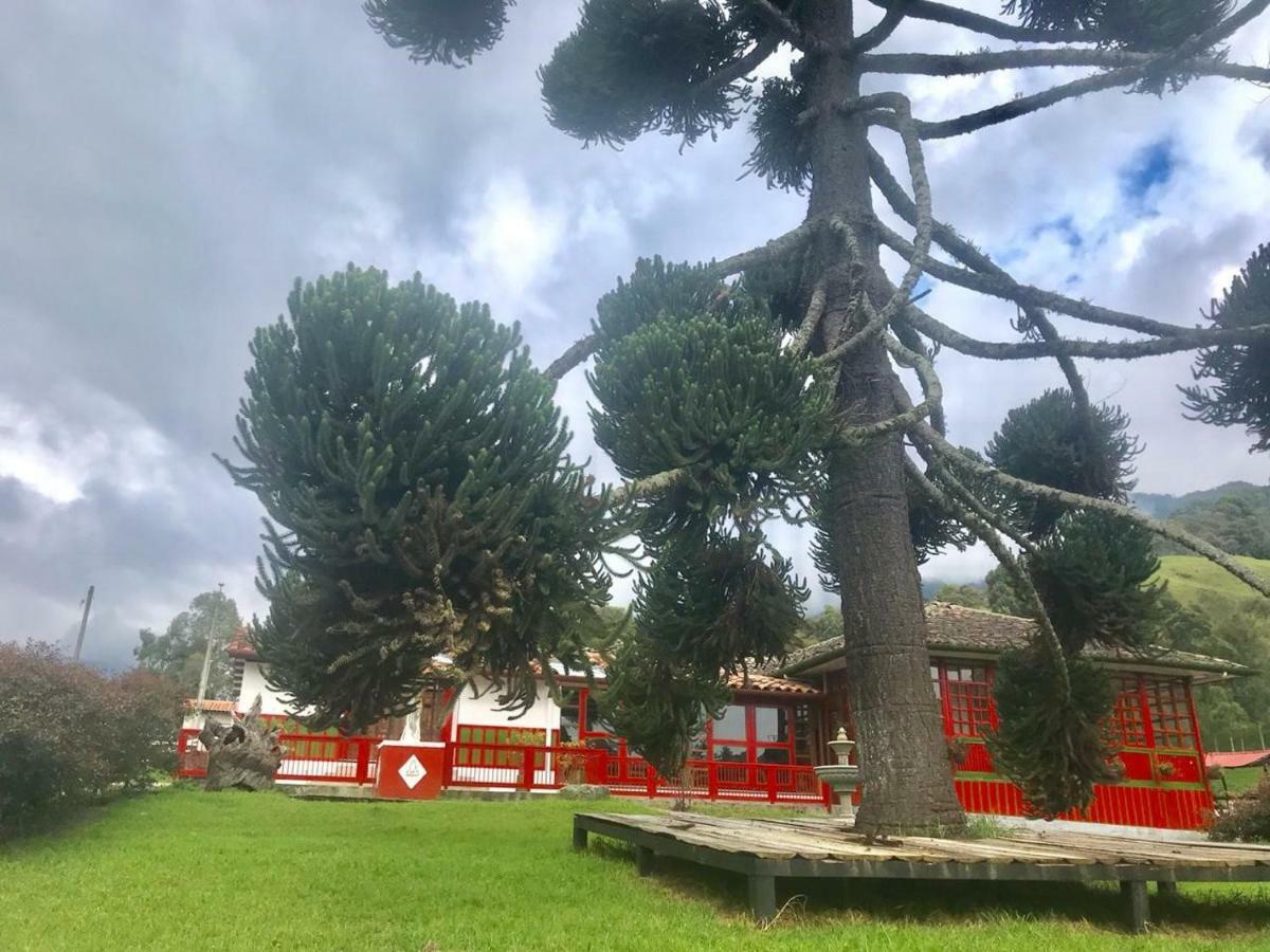 Ecohotel Pinohermoso Reserva Natural Salento Zewnętrze zdjęcie