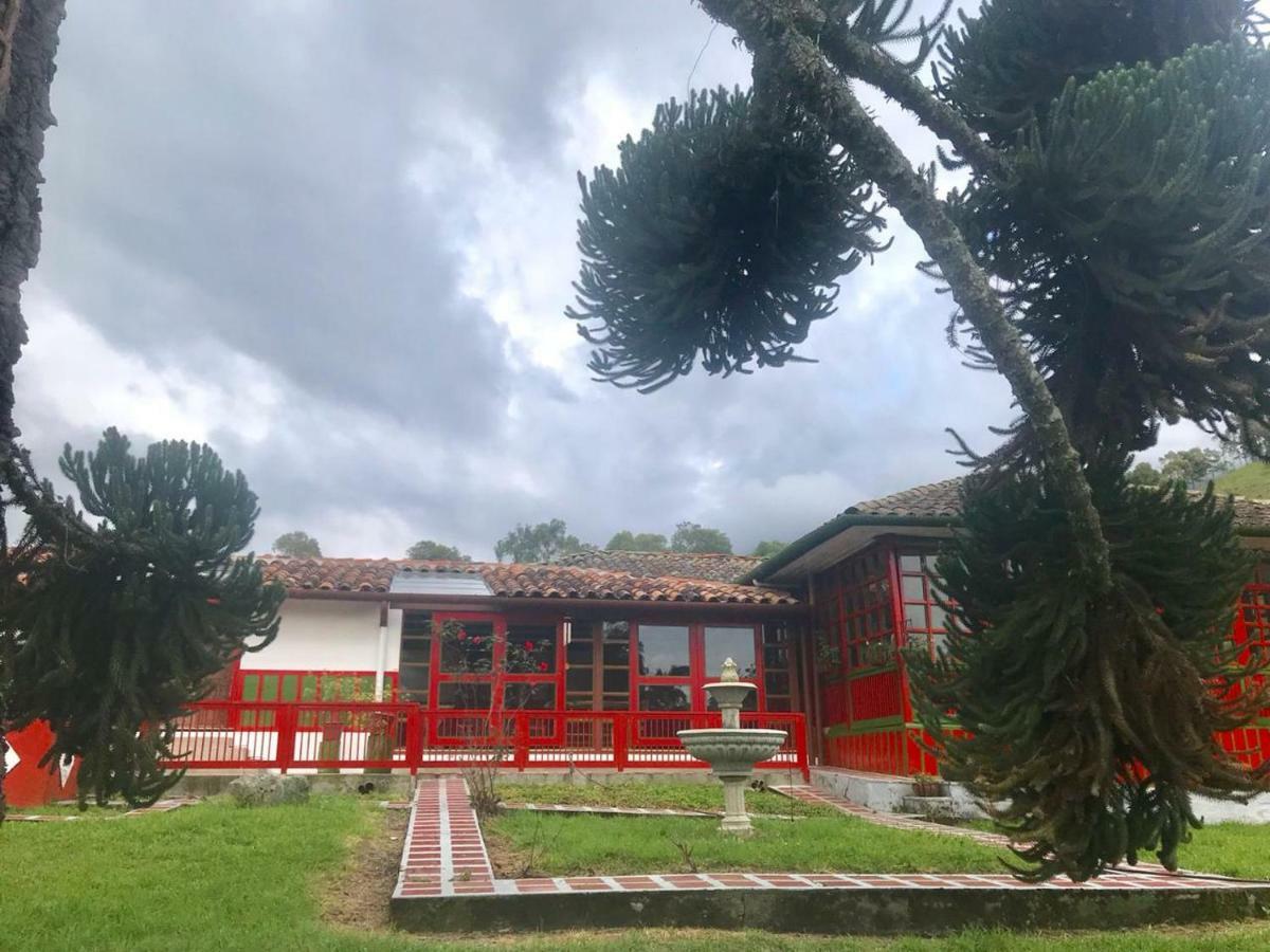 Ecohotel Pinohermoso Reserva Natural Salento Zewnętrze zdjęcie