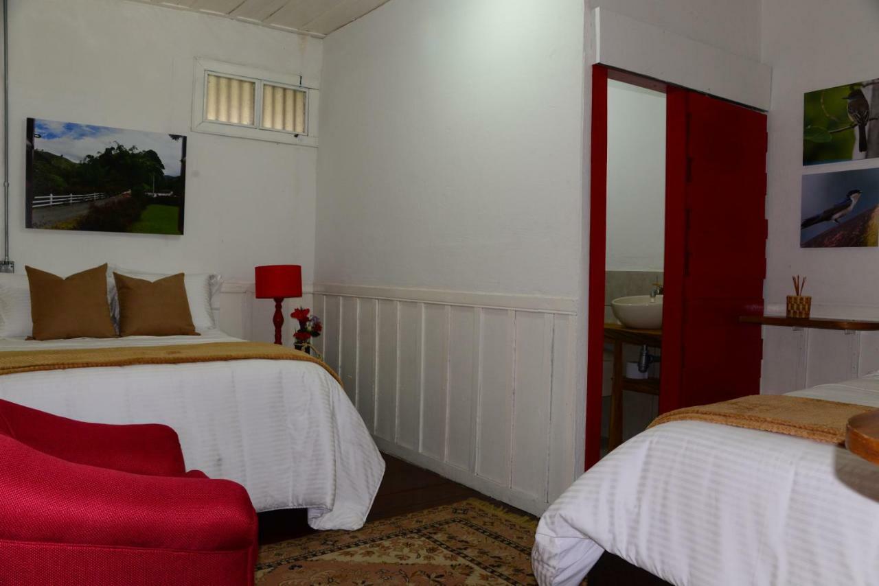 Ecohotel Pinohermoso Reserva Natural Salento Zewnętrze zdjęcie